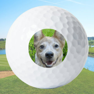Custom Golf Balls With Dog Picture Create Your Own