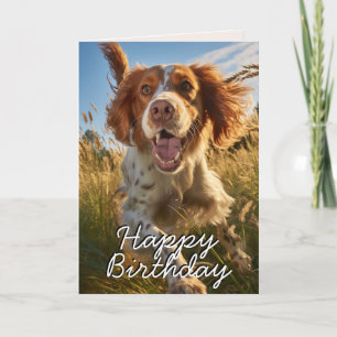 Custom Gordon Setter Happy Birthday Card