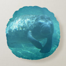 Custom Grade A Cotton Round Throw Pillow (16")