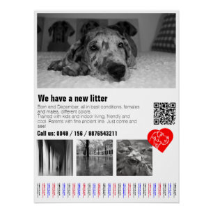 Custom Great Dane Tear-Off Notice Poster