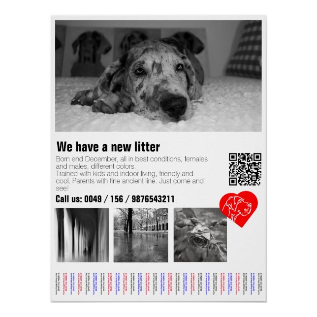 Custom Great Dane Tear-Off Notice Poster (Front)