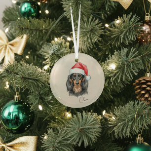 Custom Hand Drawn Dachshund Portrait and Name Glass Ornament