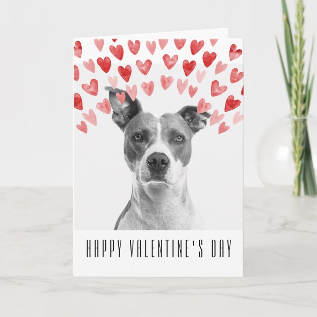 Custom Happy Valentine's Day from the Dog Card (Front)