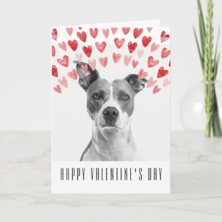 Custom Happy Valentine's Day from the Dog Card