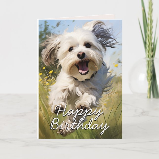 Custom Havanese Birthday Card (Front)