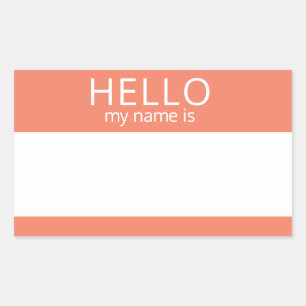 Custom HELLO My Name Is Sticker Badge Blank