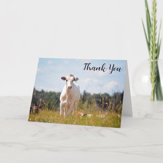 Custom Holstein Cow Thank You Card (Front)