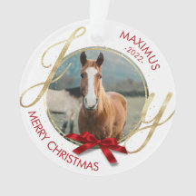 Custom Horse Name Photo Equestrian