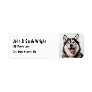 Custom Husky Malemute Dog Address Label