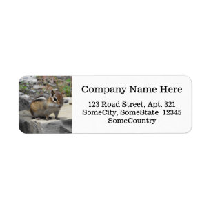 Custom Info + Cute Chipmunk Like Critter on a Rock