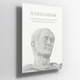 Custom Julius caesar inspirational quote Poster