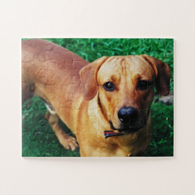 Custom Large Pieces Personalized Jigsaw Puzzle (Horizontal)