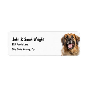 Custom  Leonburger Dog Address Label