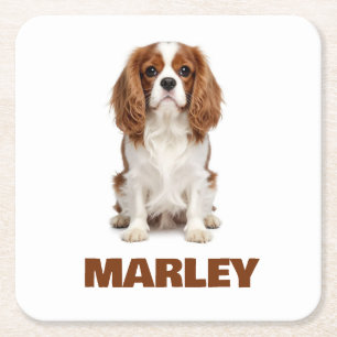 Custom Love Dog Lover Name Square Paper Coaster