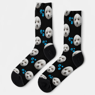 Custom Maltese Socks — Personalized Pet Photo Gift