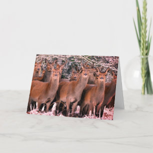 CUSTOM MERRY CHRISTMAS CARD WITH DEER IN SNOW