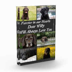 Custom modern Pet Memorial 6 Photo Collage  