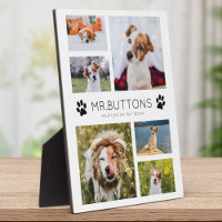 Custom Modern Pet Name Photo Collage Dog Cat Lover