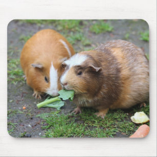 Custom Modern Pet Picture Mouse Pad