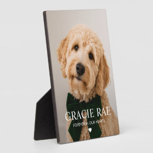 Custom Modern Simple Photo Pet Memorial Plaque