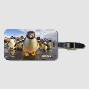 Custom Name Cool Penguins Luggage Tag