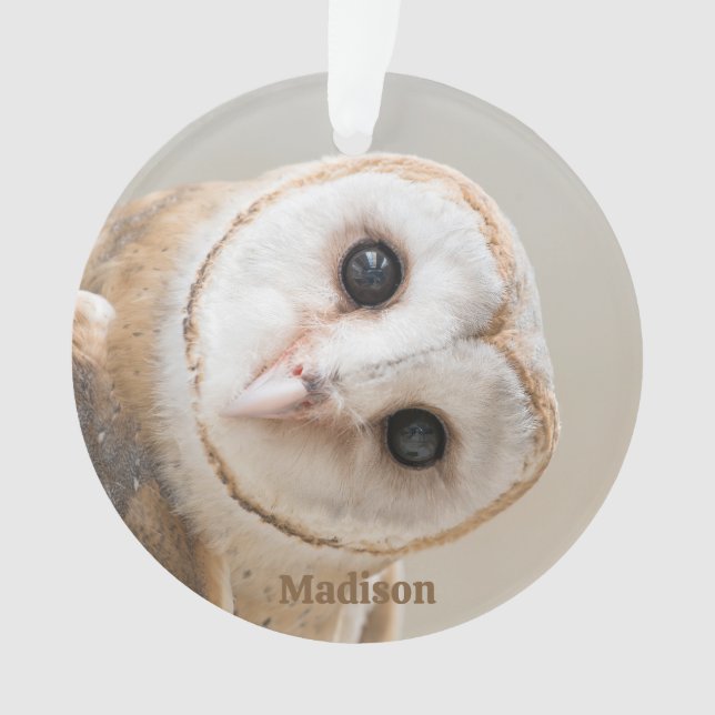 Custom Name Cute Barn Owl Ornament (Front)