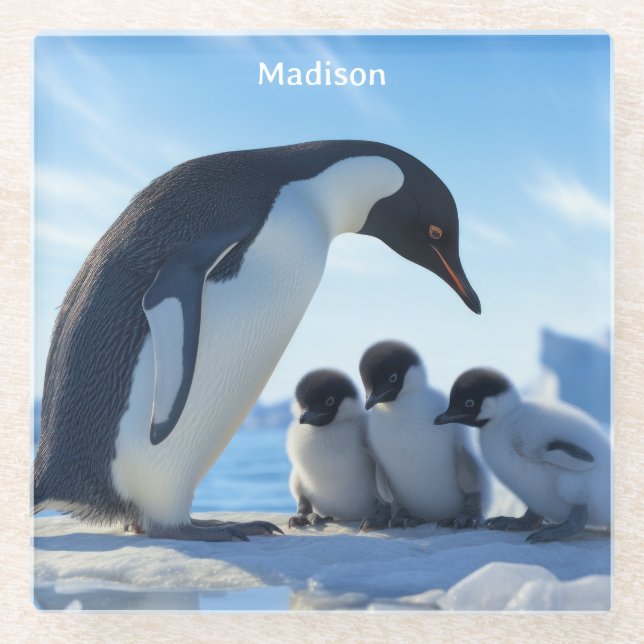 Custom Name Cute Penguins Glass Coaster (Front)
