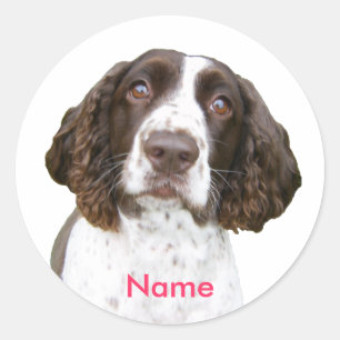 Custom Name English Springer Spaniel Stickers