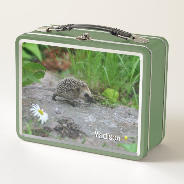Custom Name Hedgehog Metal Lunch Box (Front)