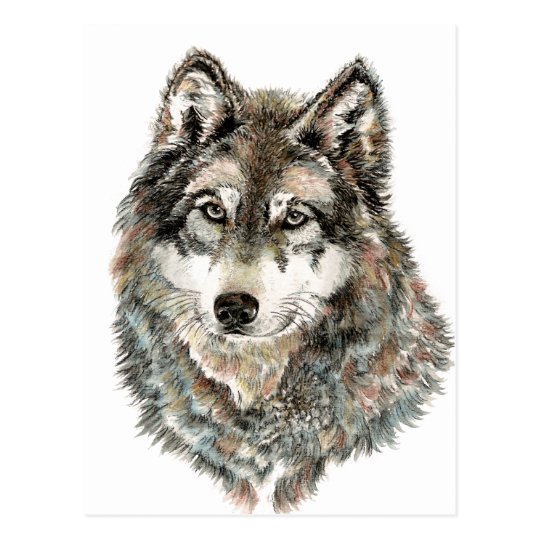 Custom Name or Text Wolf watercolor Animal Postcard