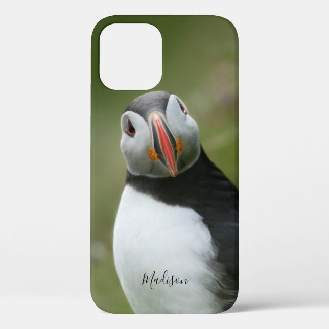 Custom name Puffin phone cases (Back)