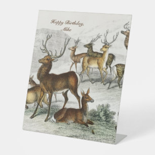 Custom Name Red Deer Hart, Hind, Roebuck Musk Deer Pedestal Sign