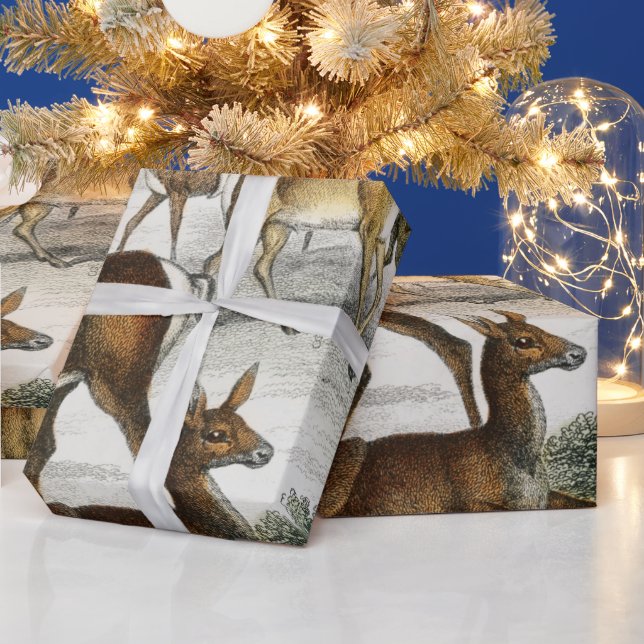 Custom Name Red Deer Hart, Hind, Roebuck Musk Deer Wrapping Paper (Holidays)