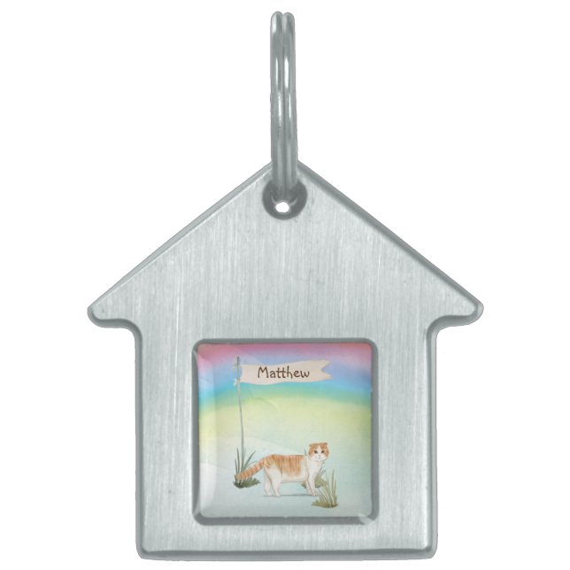 Custom Name Scottish Fold Cat Pet ID Tag (Front)