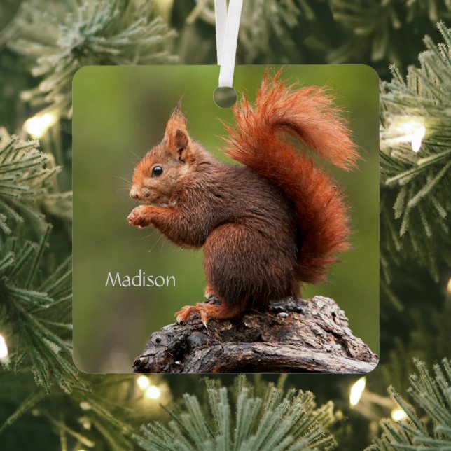 Custom Name Squirrel Metal Ornament (Insitu)