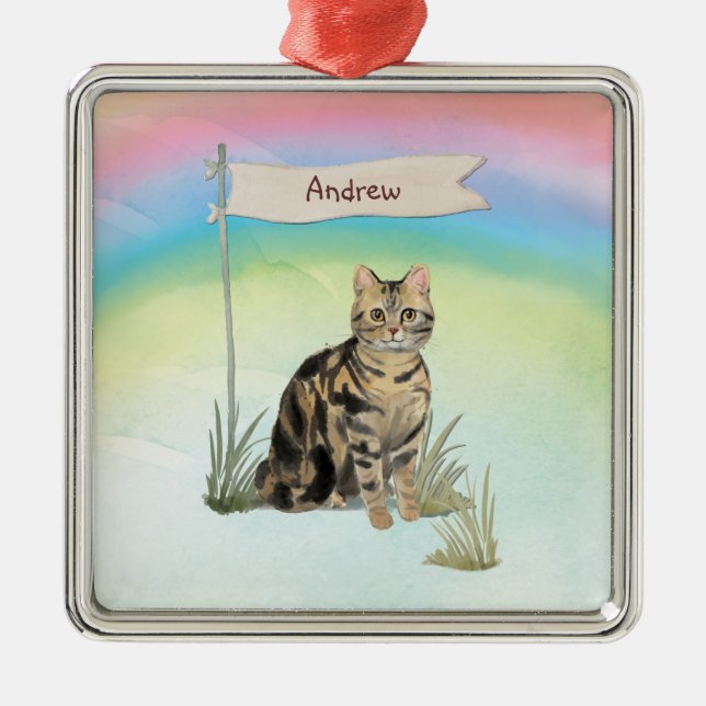 Custom Name Tabby Cat Pet Metal Ornament (Front)