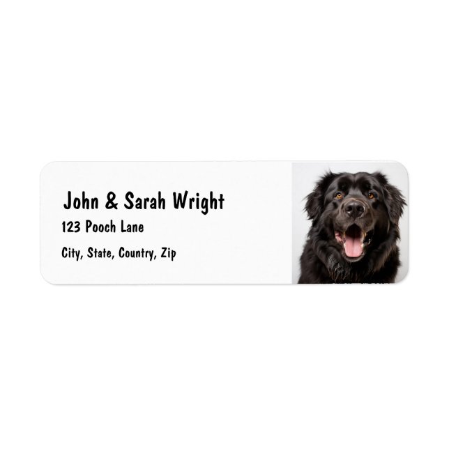 Custom Newfoundland  Dog Address Label (Front)