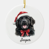 Custom Newfoundland Dog