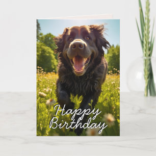 Custom Newfoundland Happy Birthday Card