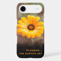 Custom Orange Daisy Close-Up Photography