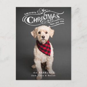 Custom Ornate Christmas Typography Pet Photo Holiday Postcard