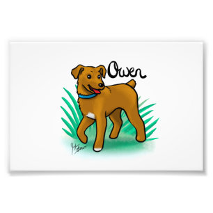 Custom "Owen" Print
