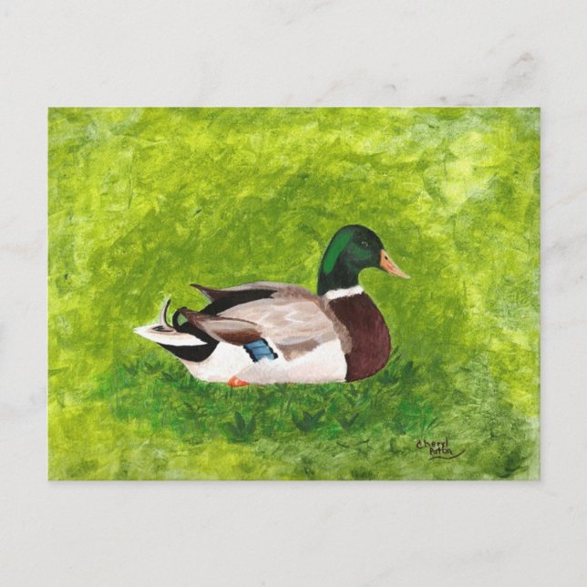 Custom Painting of Mallard Duck Postcards (Front)