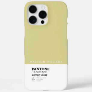 Custom Pantone Personalized Name Colour Block iPhone 16 Pro Max Case