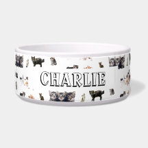 Custom pattern with photos of Cats and kittens