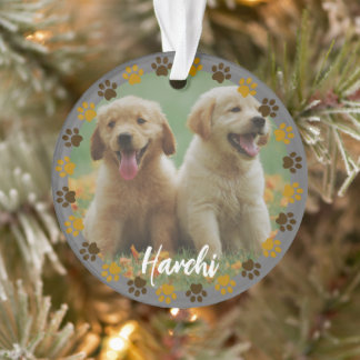 Custom Paw Prints Pet Photo Ornament with Name