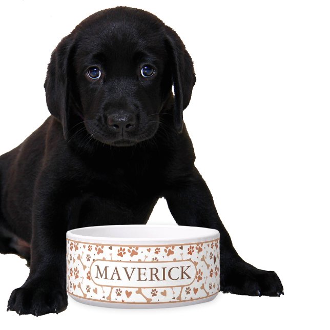 Custom Paws and Bones (Creator Uploaded)