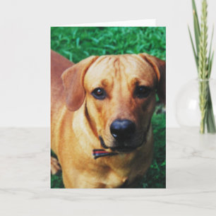 Custom Personalised Photo Greeting Card