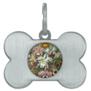 custom personalize family friend gifts pet name tag