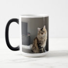 Custom Personalized Cat Photo Collage Tall Coffee